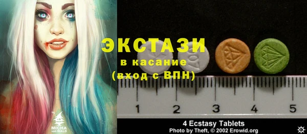 индика Богородск