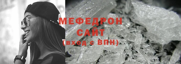 индика Богородск