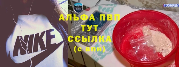 PSILOCYBIN Богородицк