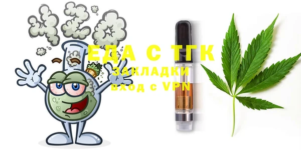 индика Богородск