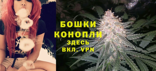 индика Богородск