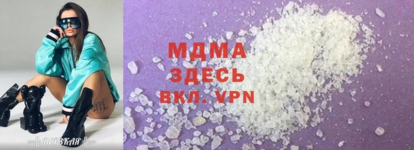 индика Богородск