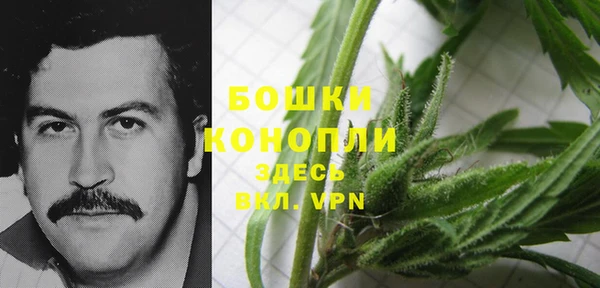 шишки Карпинск